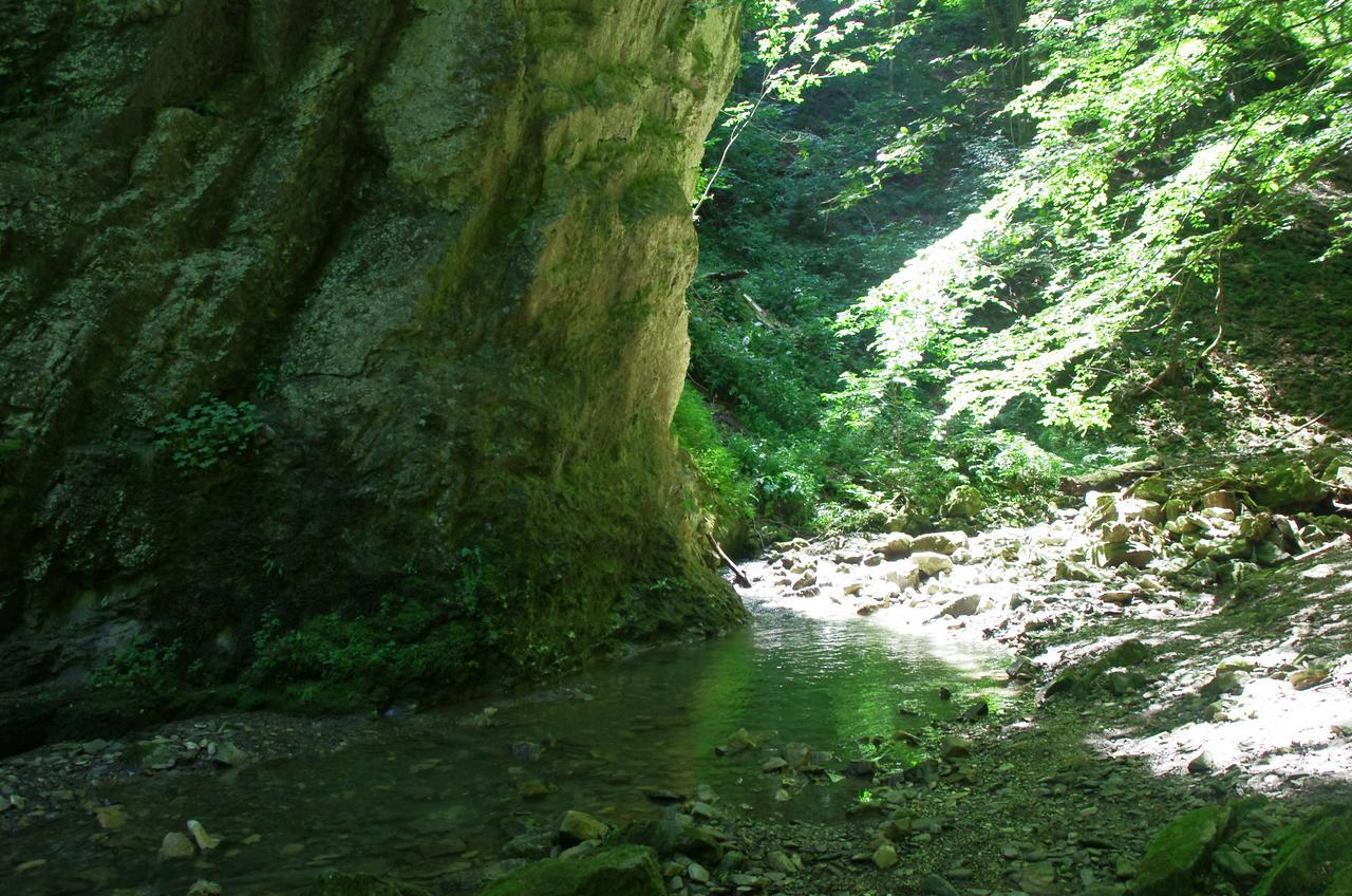 Семеен Хотел Вит Teteven Exterior foto